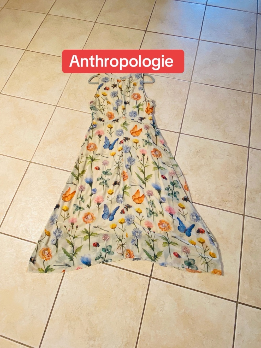 Anthropologie Cream Dress with Blue & Orange Floral & Butterfly Print